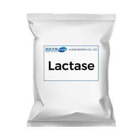 Lactase Powder Factory - 120