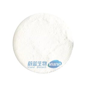 Methyl Cellulose Supplier - Tailor-Made Viscosity Food Additive