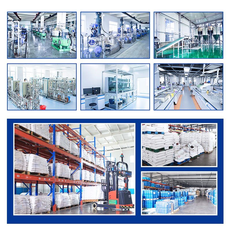 Riboflavin Powder Supplier - Vitamin B2 Raw Material CAS