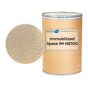 Immobilized Lipase Factory - IM-NE100 Food Additive CAS