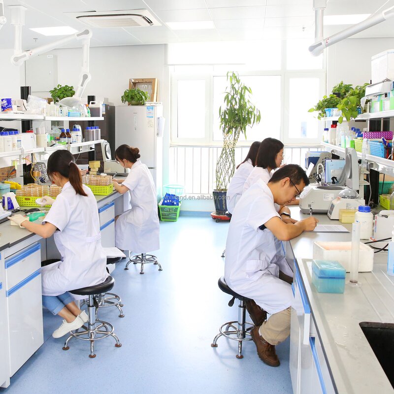 Aminopeptidase Enzyme Supplier - Food Grade for Flavor Enhancer