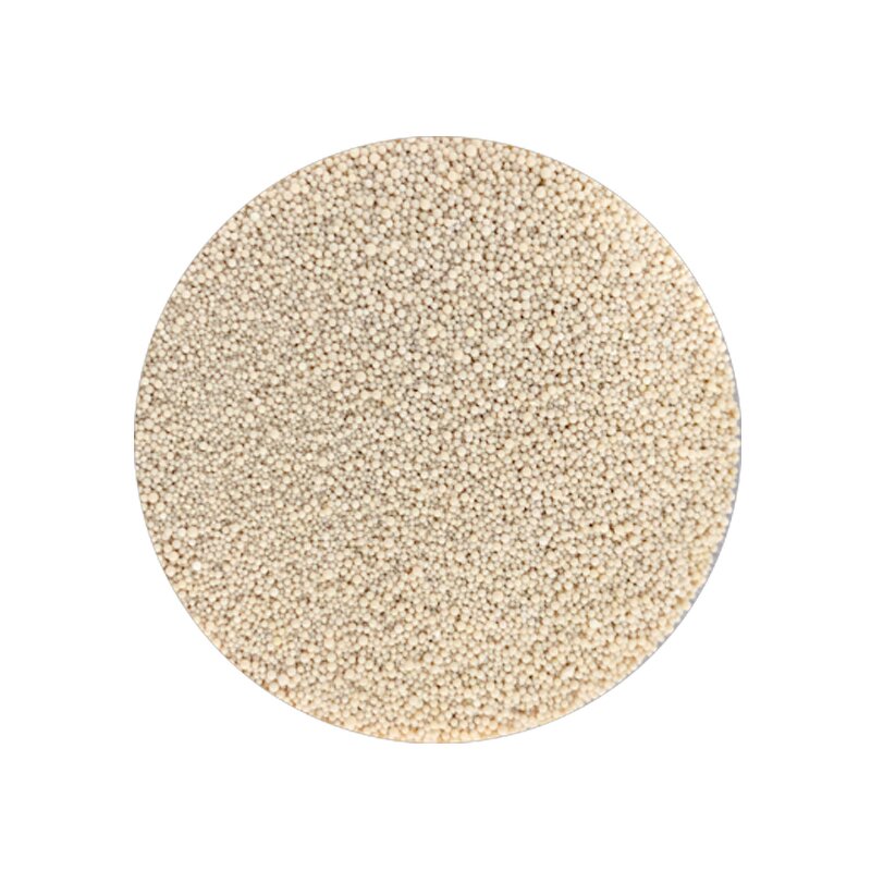 Immobilized Lipase Factory - IM-NE100 Food Additive CAS