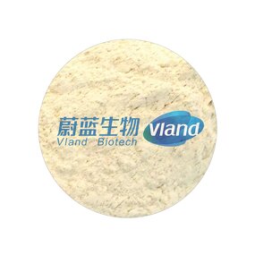 Aminopeptidase Factory - Food Grade Flavor Enzyme Additive
