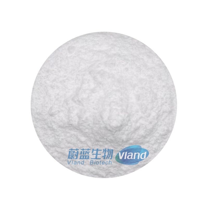 Fructose Powder Supplier - 98% Crystalline Food Additive