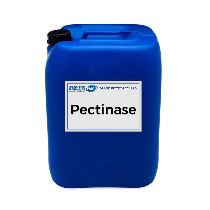 Pectinase Liquid Manufacturer - 4000 U/ml Food Grade Enzyme