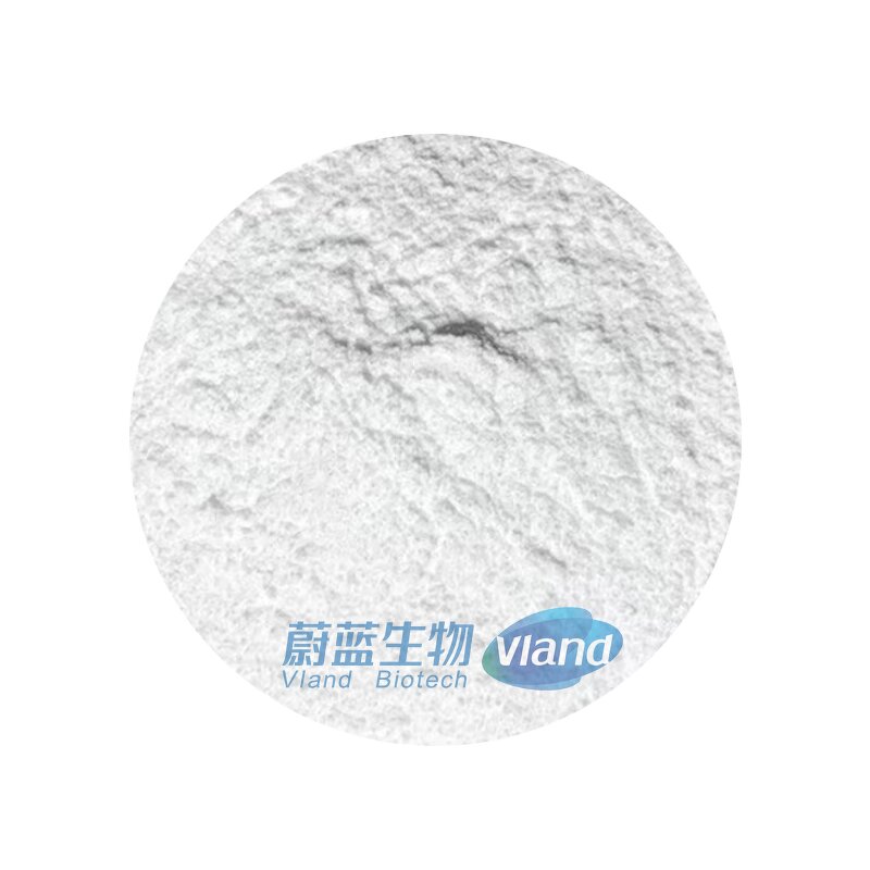 Stevia Glucoside Supplier - 80%-95% High Purity Food Additive