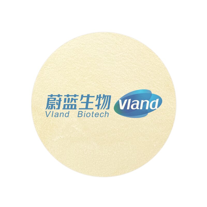 Flavourzyme Enzyme Supplier - Food Grade with Competitive Price