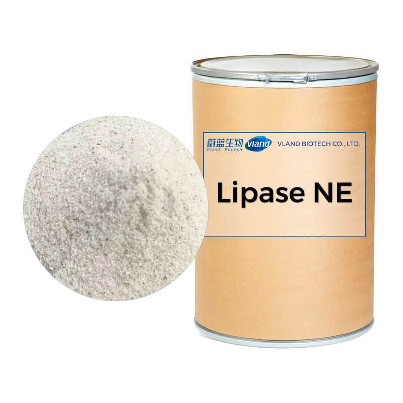 Lipase Powder Factory - 1000000 U/g Food Additive CAS