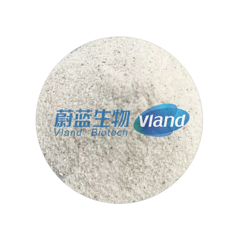 Lipase Powder Factory - 1000000 U/g Food Additive CAS