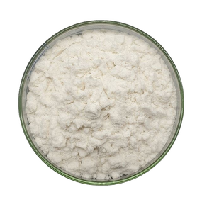 Lactase Enzyme Powder Supplier - High Activity Food Additive