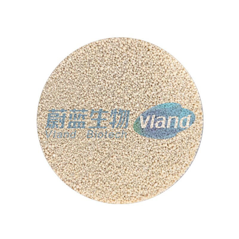 Immobilized Lipase Supplier - R IM-03 Food Additives CAS