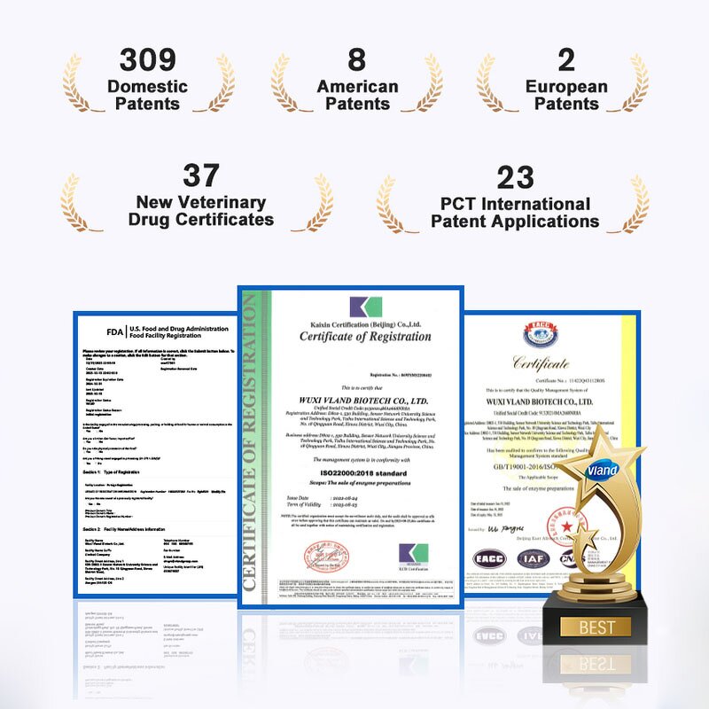 L-Malic Acid Powder Supplier - High Quality Food Additive CAS