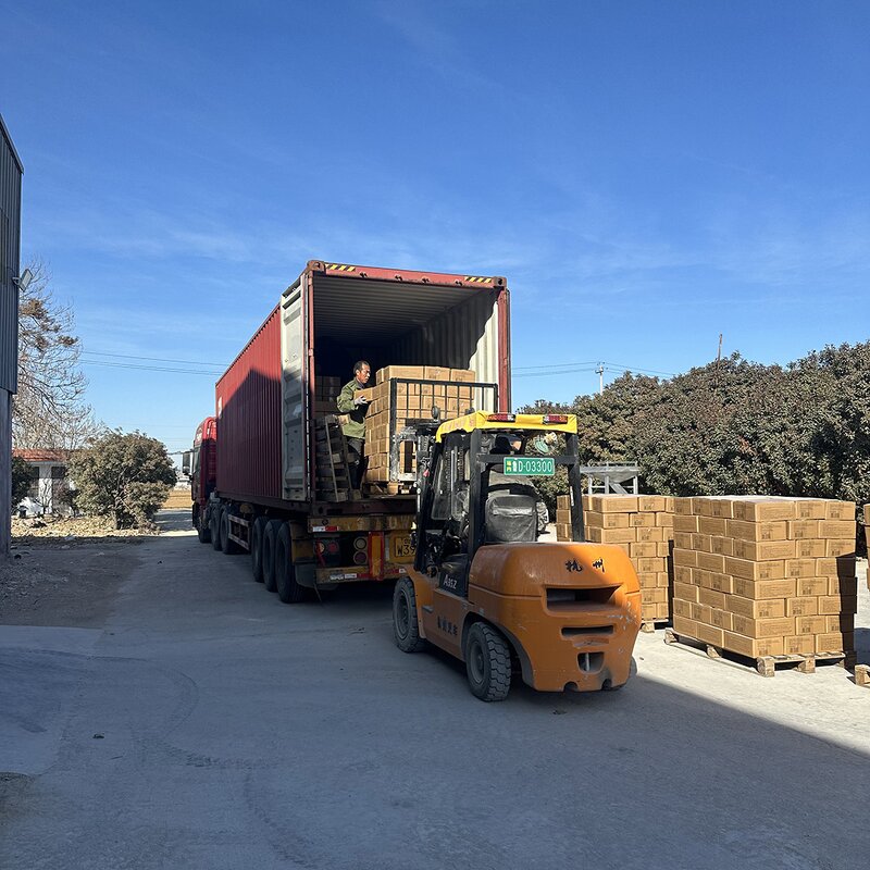 Crystal Cat Litter Manufacturer - Best Clean Silica Gel Crystal Pet Products