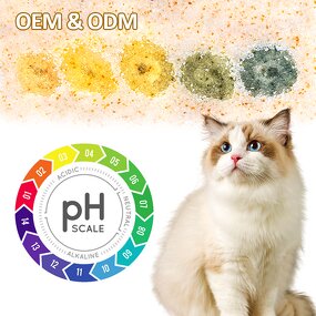 Silica Gel Cat Litter Supplier - Highly Absorbent Dust Free Cat Health Monitor PH Indicator