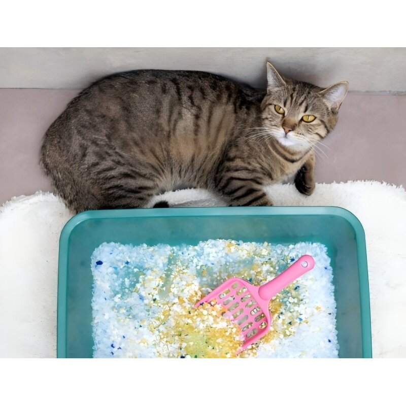 Crystal Silica Gel Cat Litter Supplier - Ph Health Care Monitoring Indicator Sand