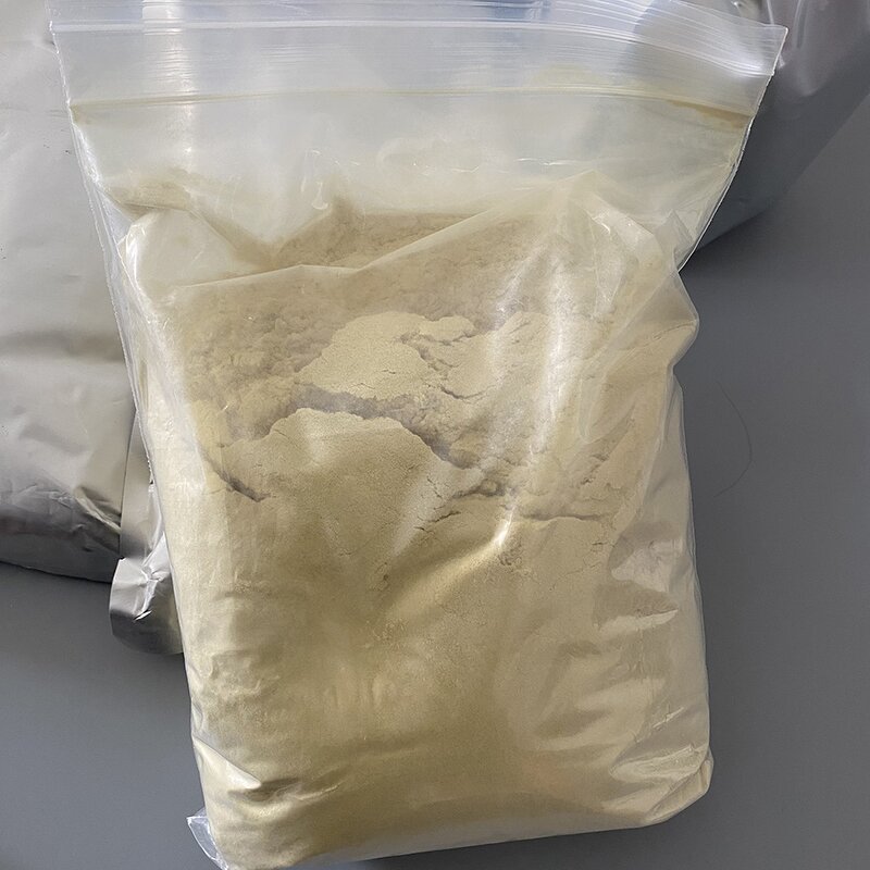 Ribonucleic Acid Supplier - CAS 63231-63-0 for Protein Synthesis