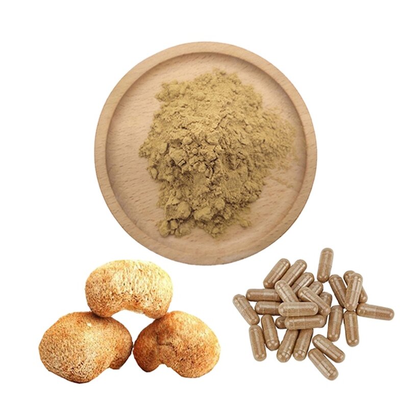 Lion's Mane Powder Supplier - Pure Raw Mushroom Extract Capsules