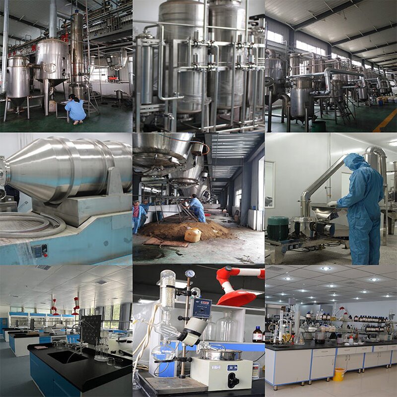 Oat Milk Powder Factory - Instant Oat Fiber Powder Bulk