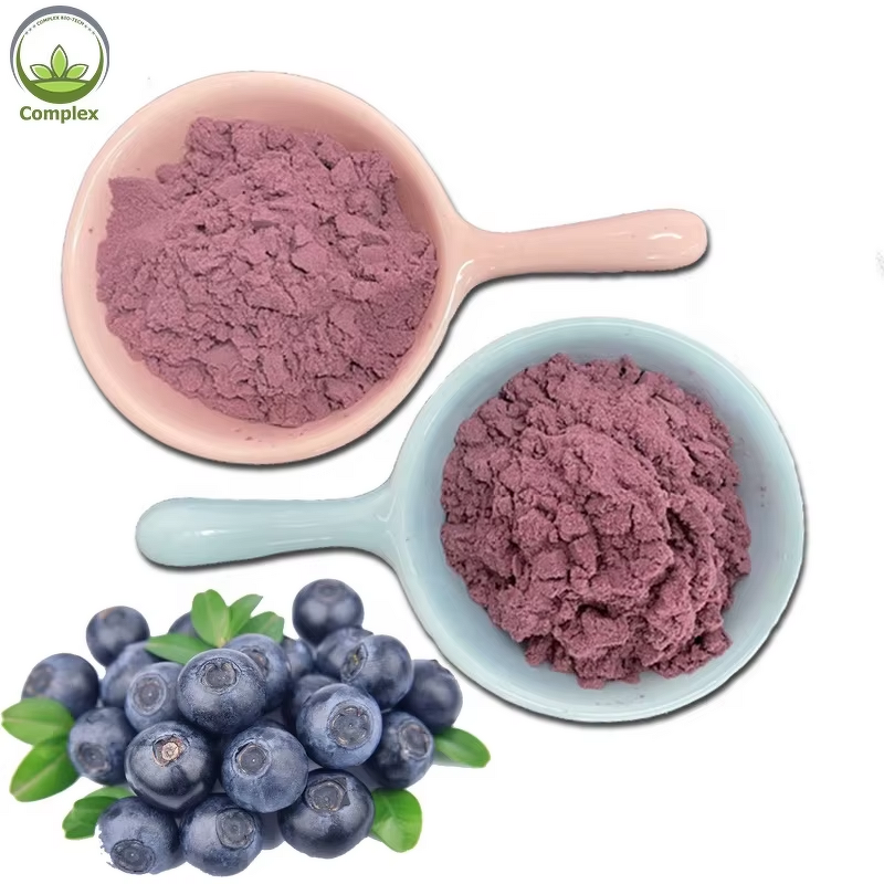Blueberry Extract Powder Factory - Natural Wild Fruit Powder