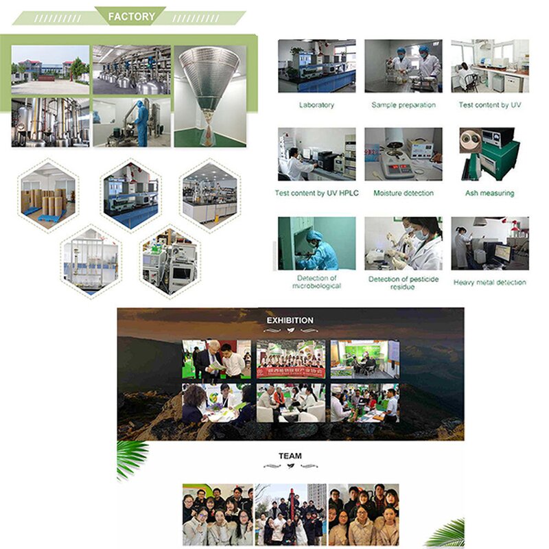 Liquid Chlorophyll Manufacturer - Pure Organic Chlorophyll Liquid