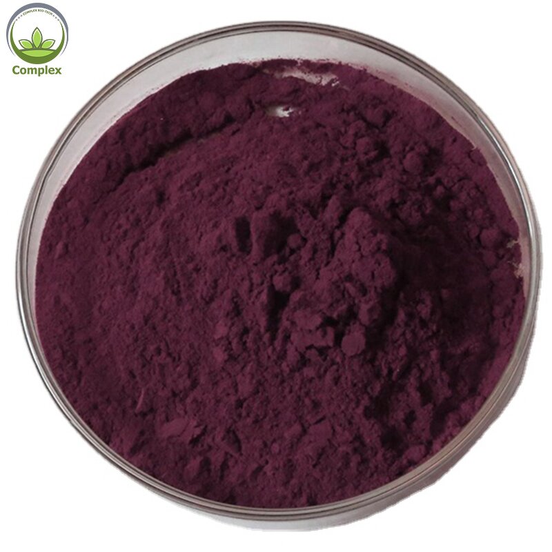 Black Carrot Powder Manufacturer - 100% Natural Organic