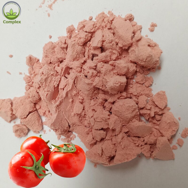 Tomato Ketchup Powder Factory - Spray Dried Seasoning Powder