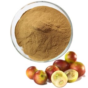 Camu Camu Powder Supplier - 100% High Quality Camu Powder