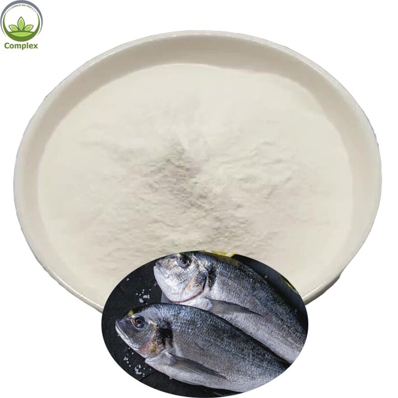 Fish Collagen Peptide Factory - Fish Maw Protein Supplement