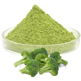 Broccoli Powder Supplier - Natural Organic Dried