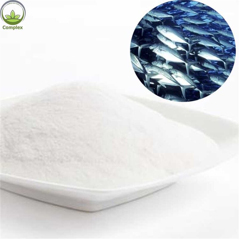 Fish Collagen Peptide Factory - Fish Maw Protein Supplement