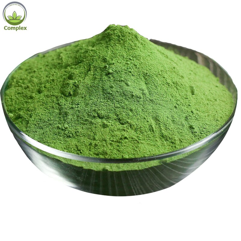 Leek Powder Factory - Dried Leek Powder Manufacturer
