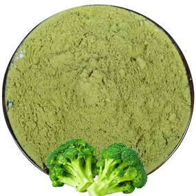 Broccoli Powder Factory - Bulk Organic Extraction