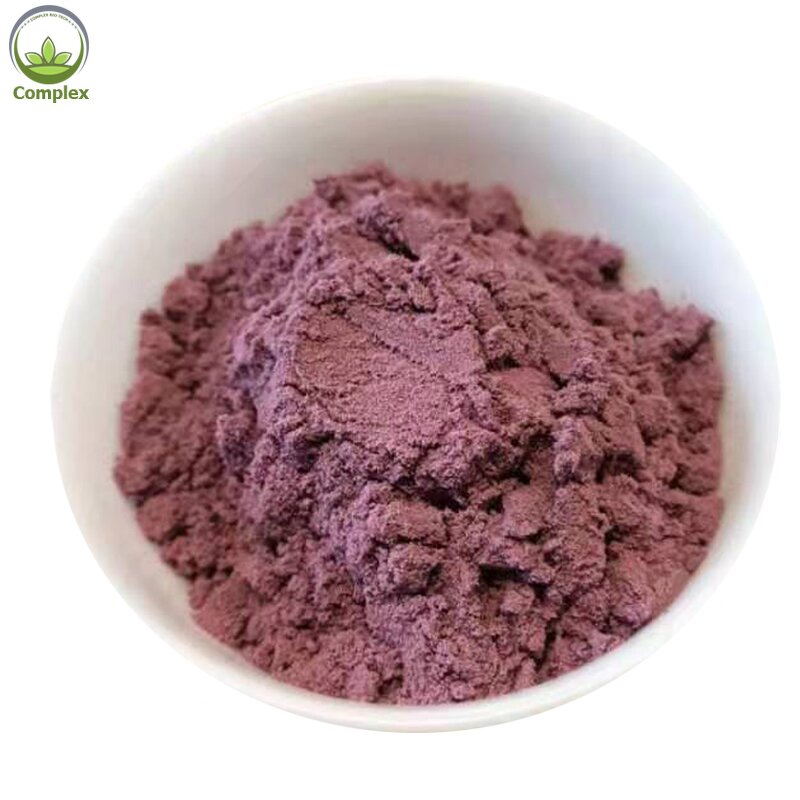 Blueberry Extract Powder Factory - Natural Wild Fruit Powder