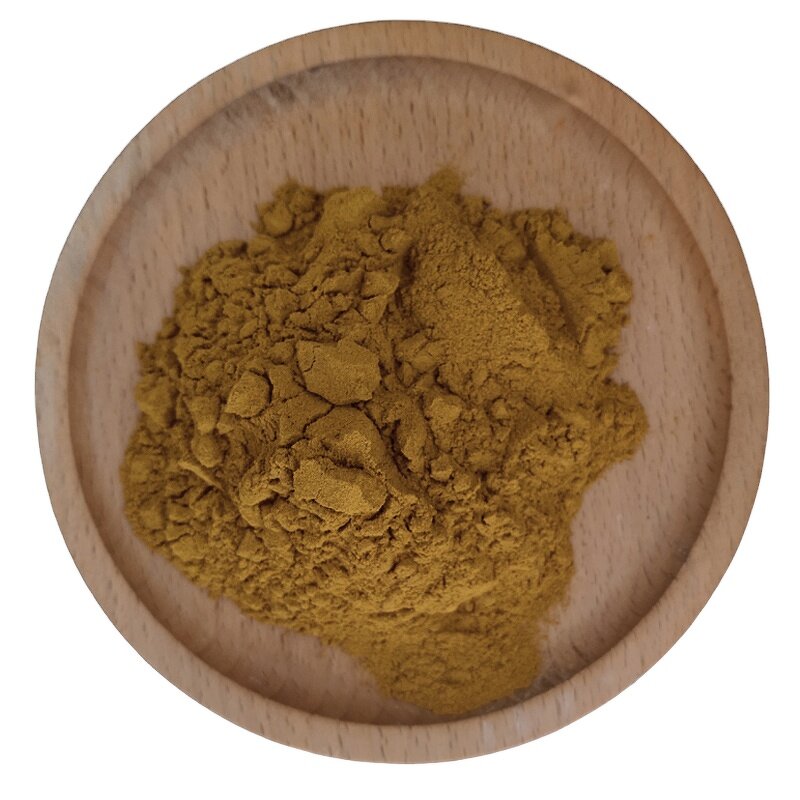 Artichoke Leaf Extract Powder Factory - 5% Cynarin Free Sample