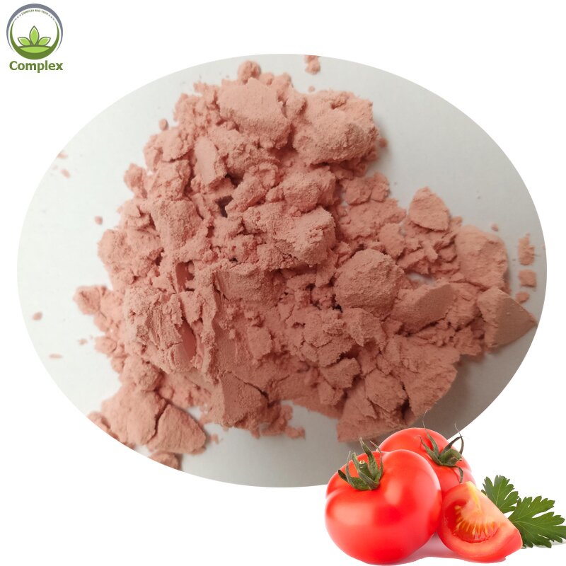 Tomato Ketchup Powder Factory - Spray Dried Seasoning Powder