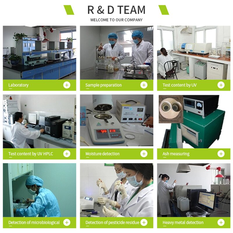 Barley Grass Powder Manufacturer - Organic Spray Dried