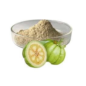 Garcinia Cambogia Powder Factory - Pure Extract for Supplement