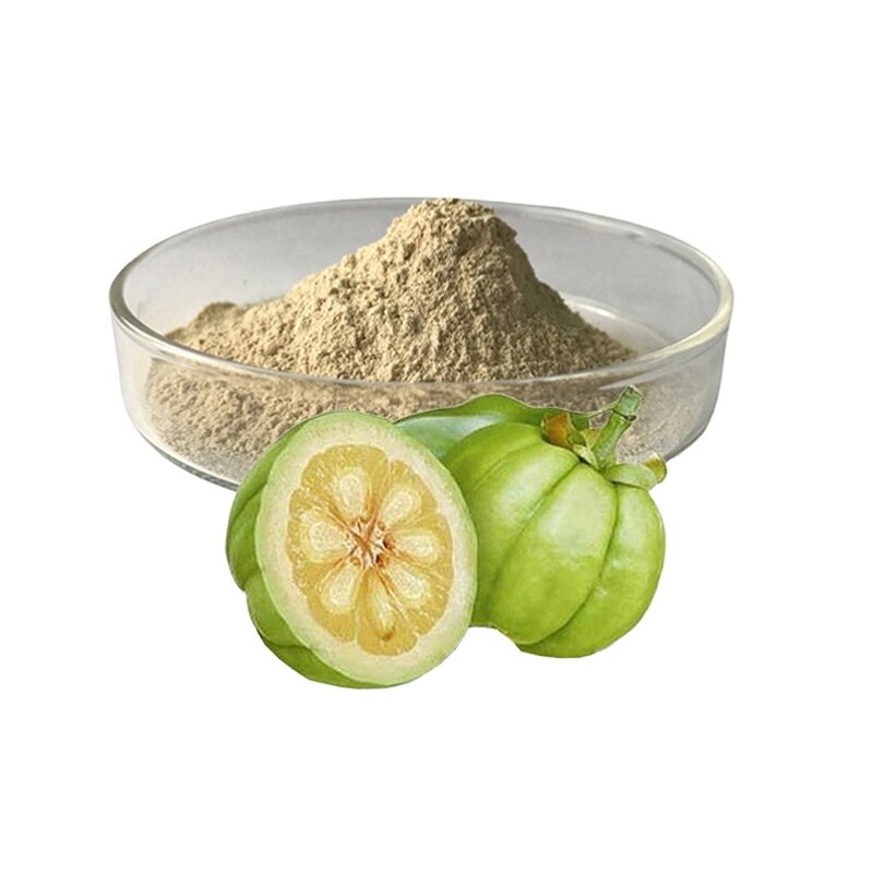 Garcinia Cambogia Powder Factory - Pure Extract for Supplement