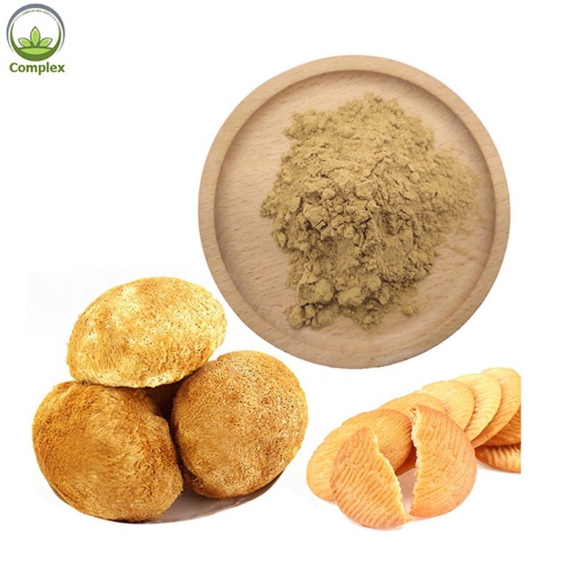 Lion's Mane Powder Supplier - Pure Raw Mushroom Extract Capsules