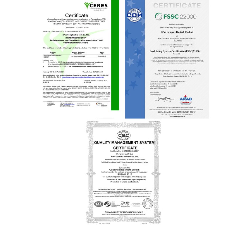 Blueberry Powder Manufacturer - Bulk Extract Powder