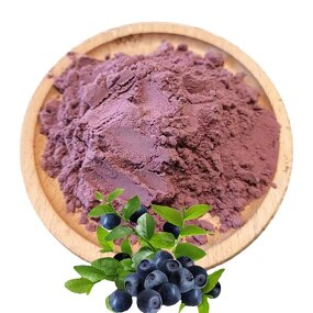 Blueberry Powder Manufacturer - Bulk Extract Powder