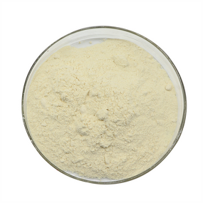 Gallnut Extract Supplier - 98% Gallic Acid CAS 149-91-7