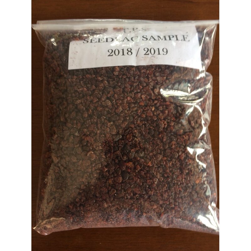 Shellac Powder Manufacturer - Natural Furniture Seedlac CAS 9000-59-3