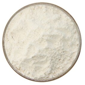 Zein Powder Factory - High Purity Corn Protein CAS 9010-66-6