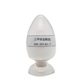 Trimethylamine Hydrochloride Manufacturer - White Powder CAS 593-81-7