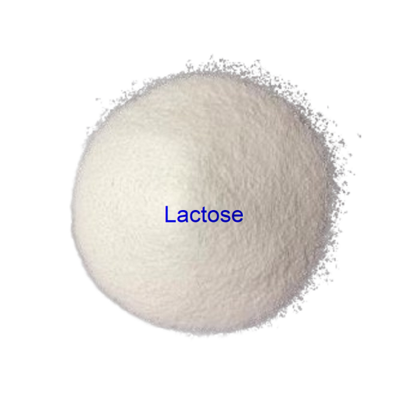 Lactose Powder Supplier - Food Grade Sweetener Nutrition Supplement