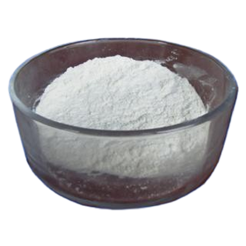 Lactose Powder Manufacturer - Shaping Agent Dispersant CAS 63-42-3