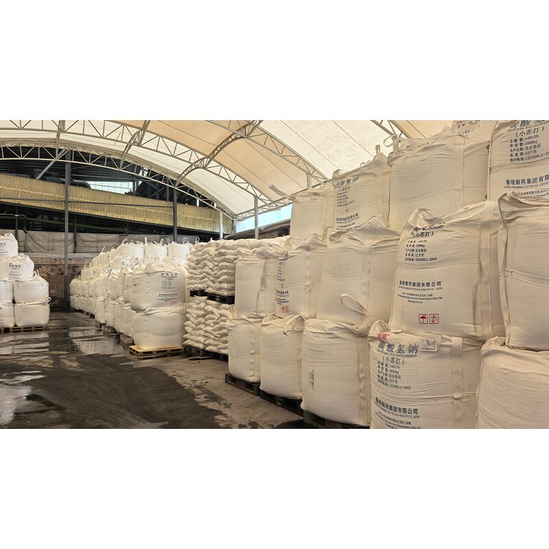 Baking Soda Manufacturer - Professional 120 Mesh 99% Food Grade