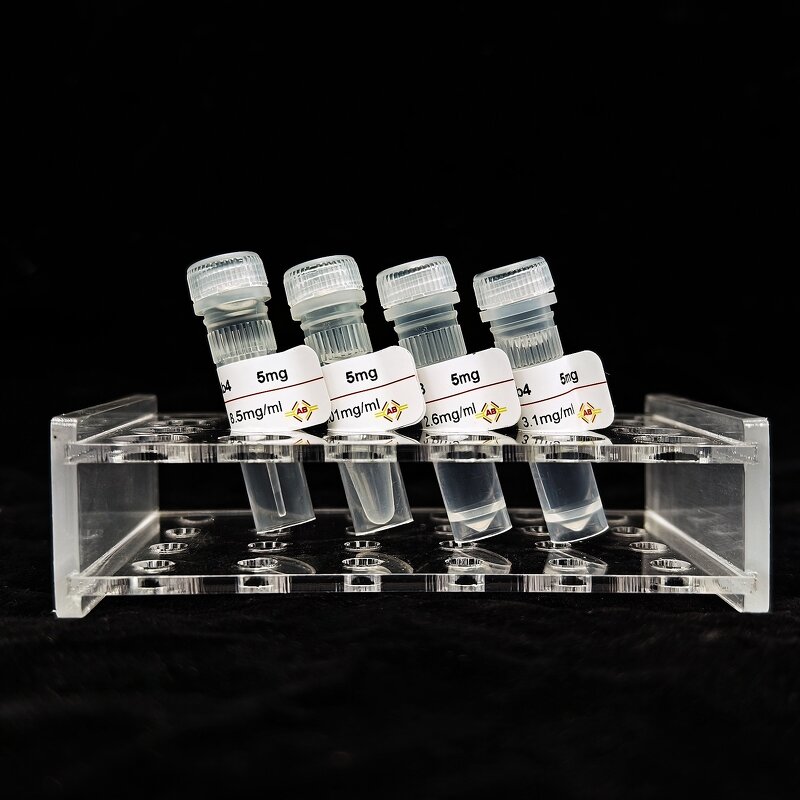 HIS Tag Antibody Supplier - HIS mAb3 against HIS Tag