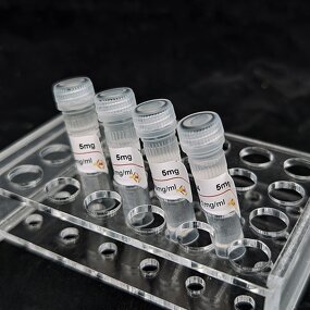 Human Serum Albumin Antibody Supplier - HSA mAb6 against HSA